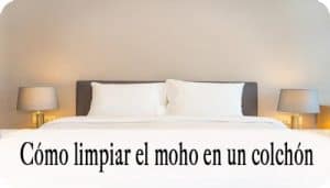 Limpiar moho en colchon